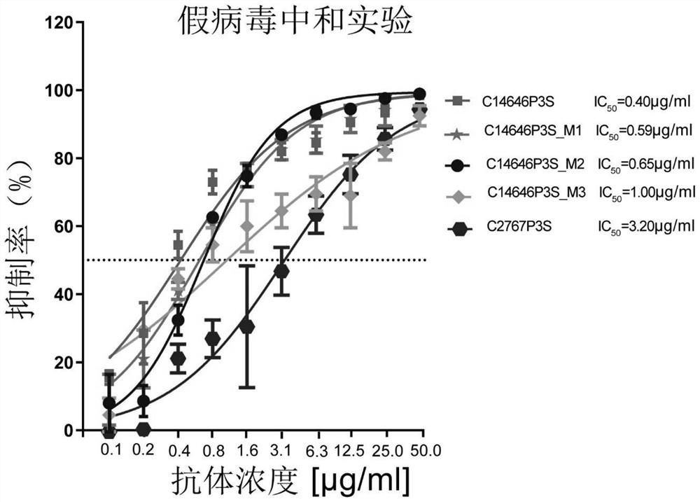 Neutralizing antibody against novel coronavirus receptor binding regions and application thereof