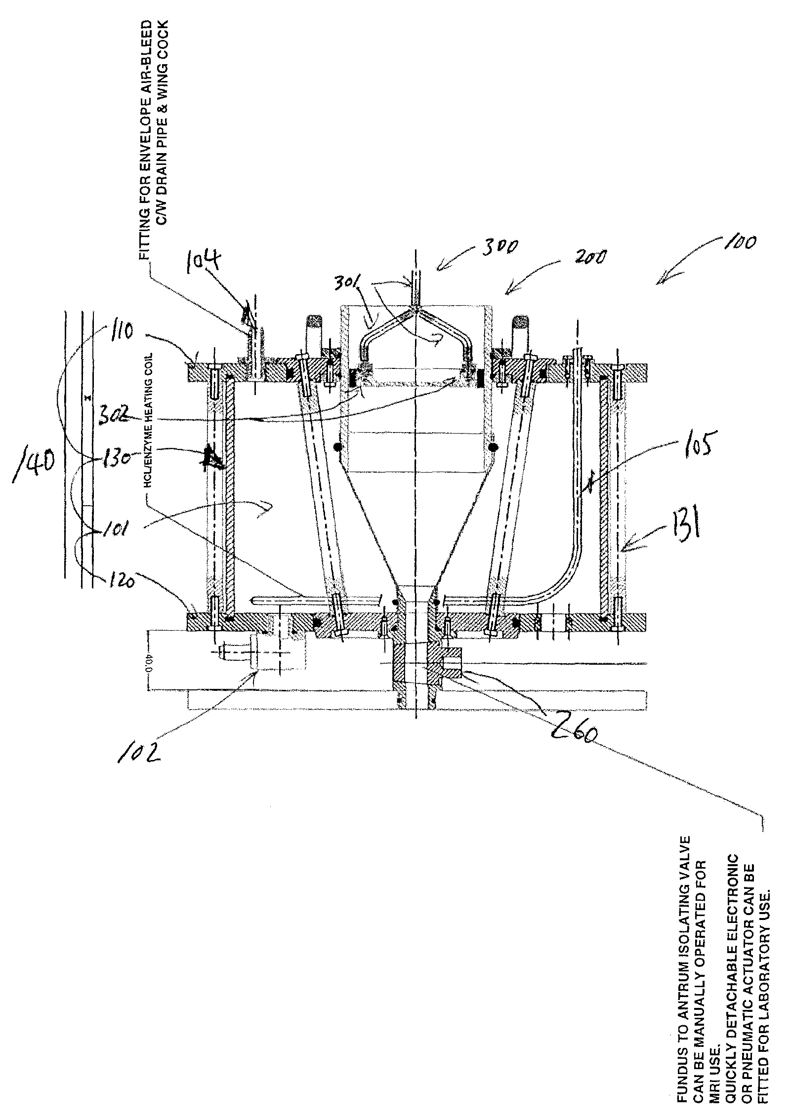 Dynamic gastric model