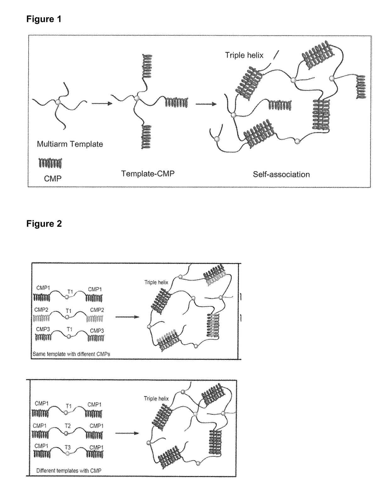 Collagen mimetic peptide