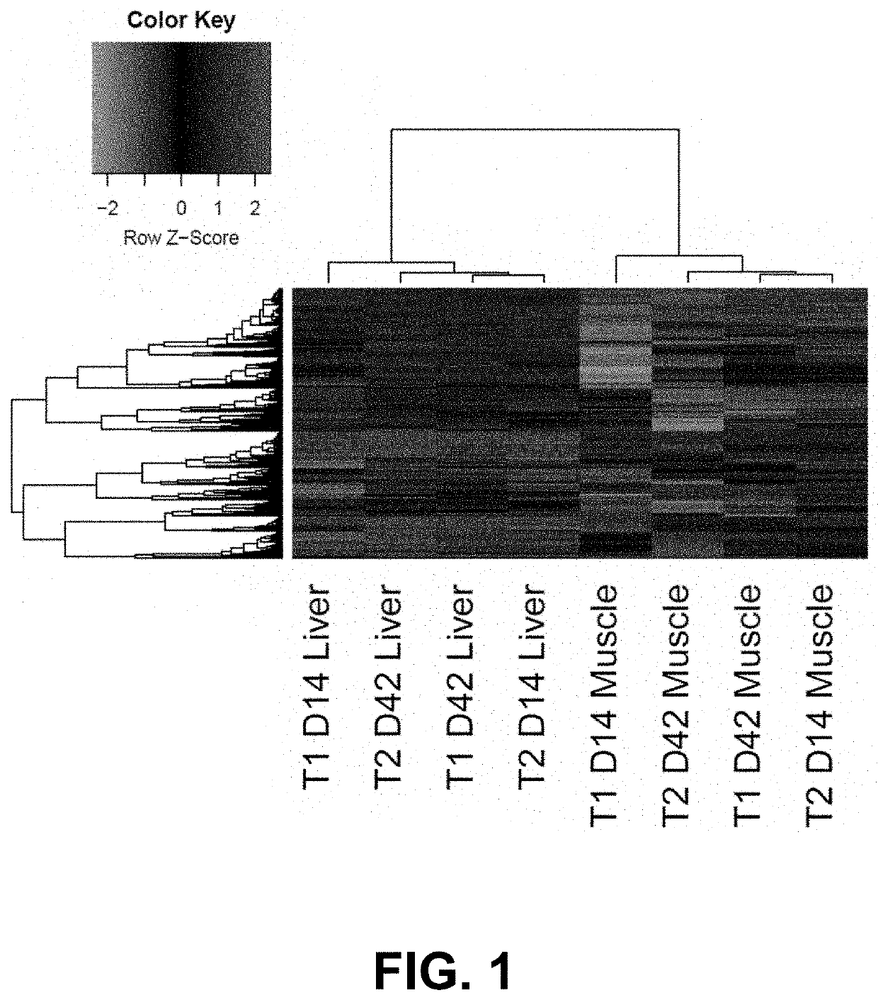 Immune priming to accelerate/enhance immune response through administration of natural immune modulator