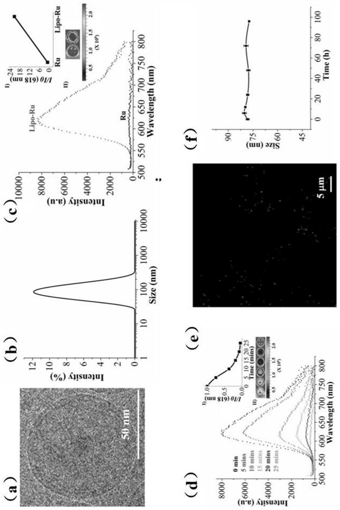 A kind of liposome-encapsulated ruthenium polypyridine complex and its application