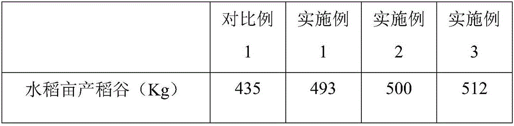 Planting method for rice paddy