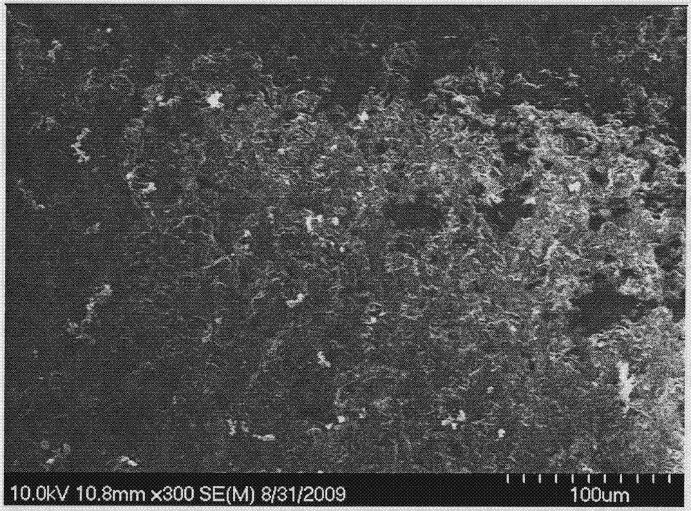 Preparation method of carbon fiber/carbon nano tube/epoxy resin multi-dimensional hybrid composite