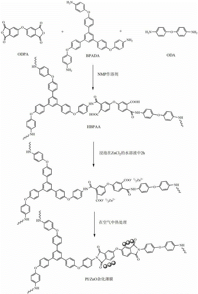 Preparation method of hyper branched copolymerized polyimide/zinc oxide (ZnO) hybrid insulated film