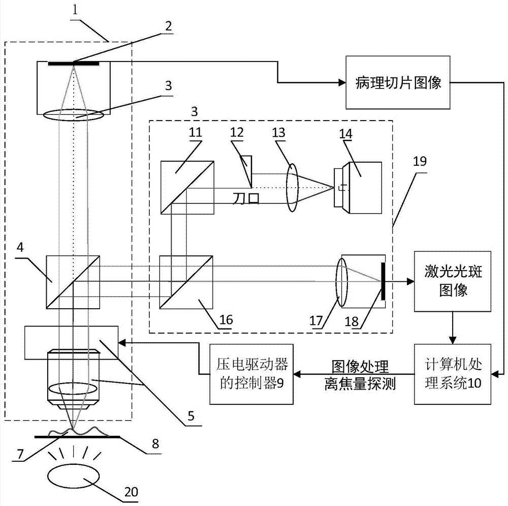 Autofocus Microscope Based on Eccentric Beam Method and Its Focusing Method