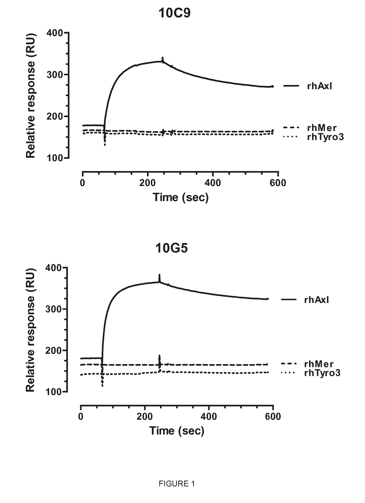 Anti-Axl antagonistic antibodies