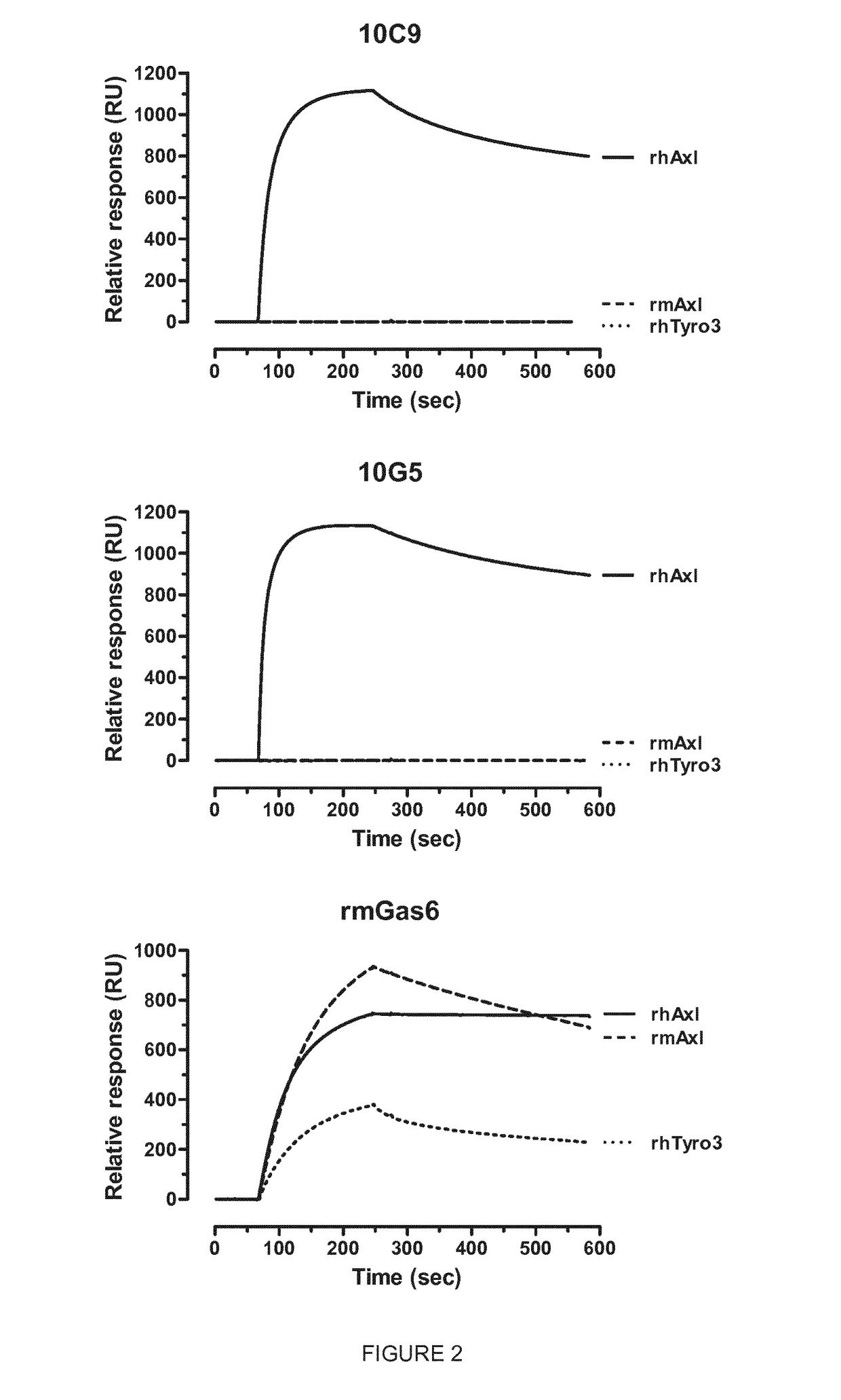 Anti-Axl antagonistic antibodies