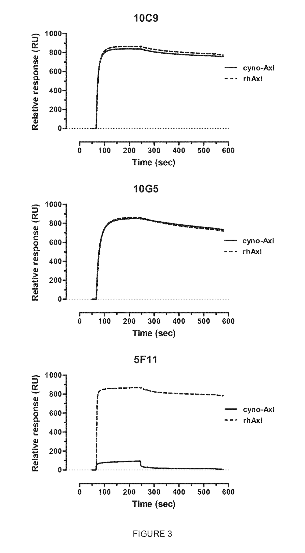 Anti-Axl antagonistic antibodies