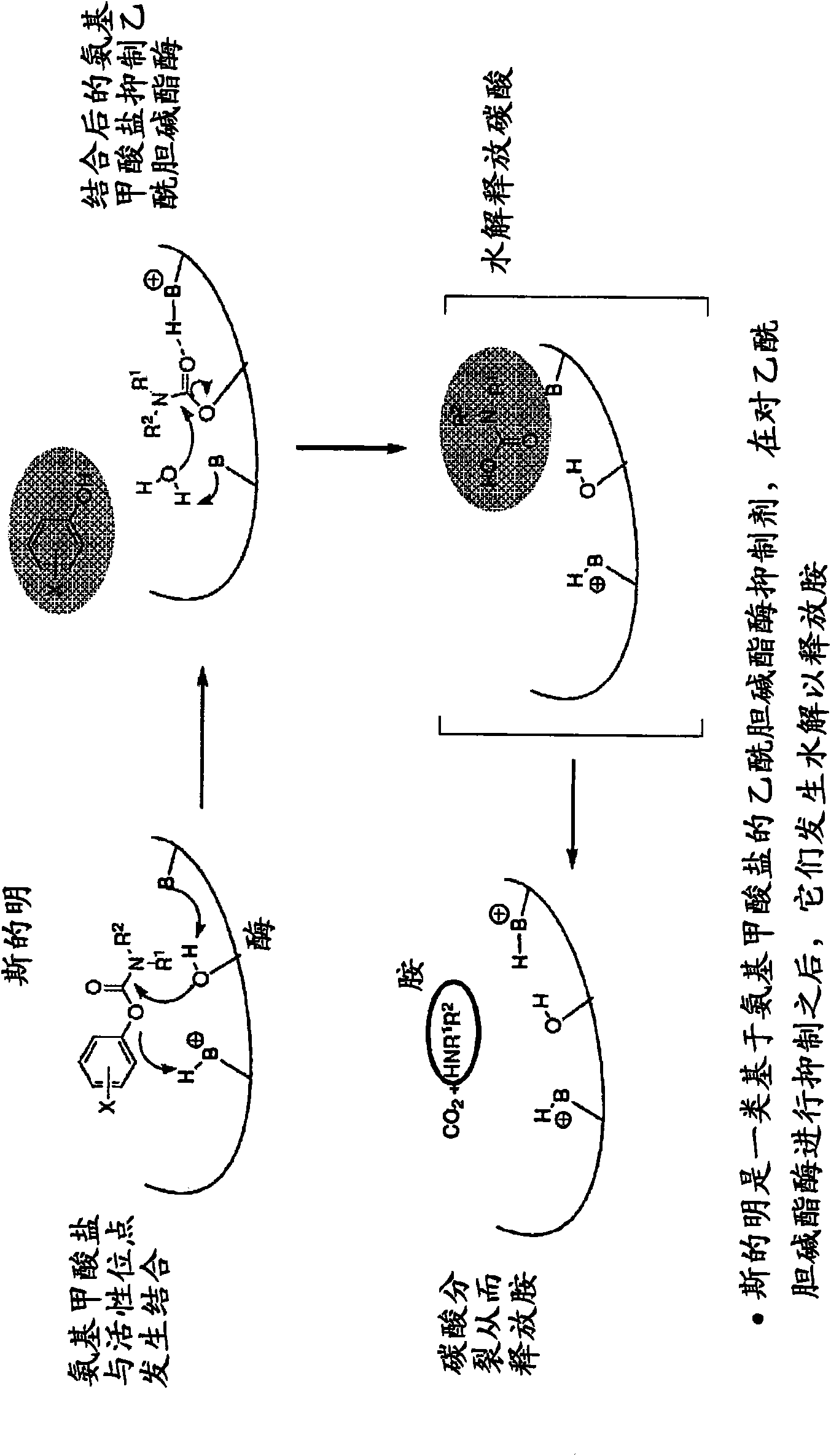 Compounds that inhibit cholinesterase