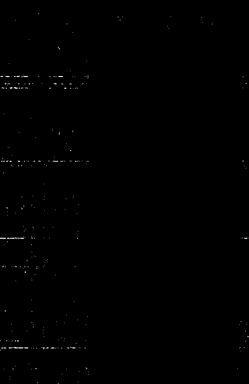 PR-PCR (Reverse Transcription-Polymerase Chain Reaction) detection kit and detection method of swine transmissible gastroenteritis virus