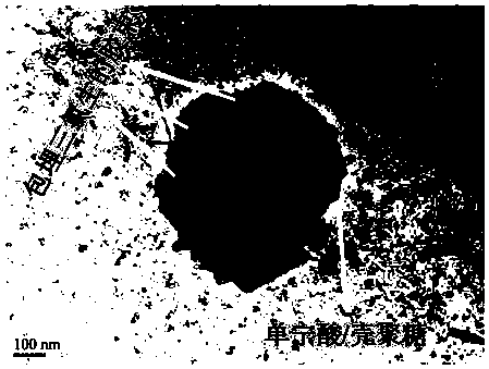 pH response type tannic acid/chitosan nanometer capsules and preparation method thereof