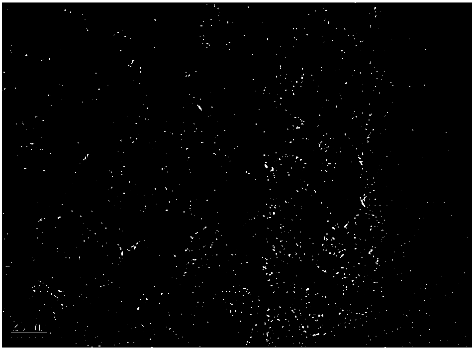 Preparation method of nitrogen-doped graphitized carbon nanocage