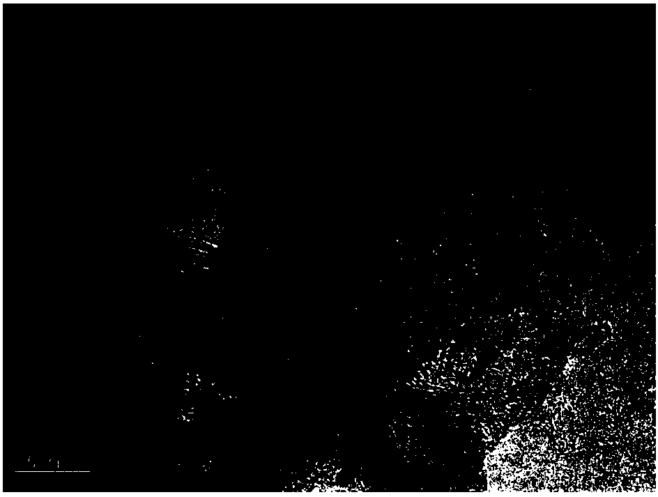 Preparation method of nitrogen-doped graphitized carbon nanocage