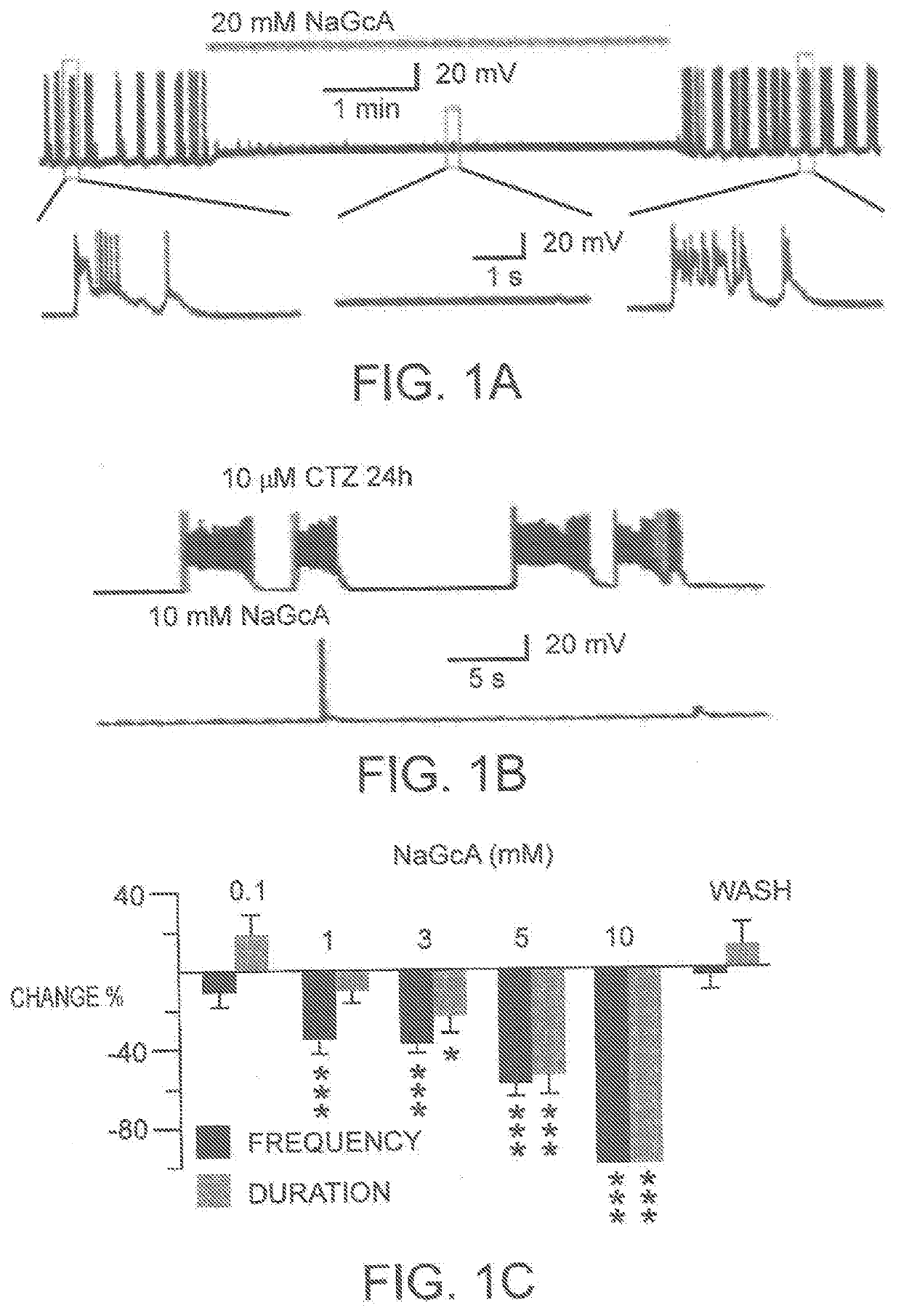 Glucose oxidase compositions as a neonate anticonvulsant