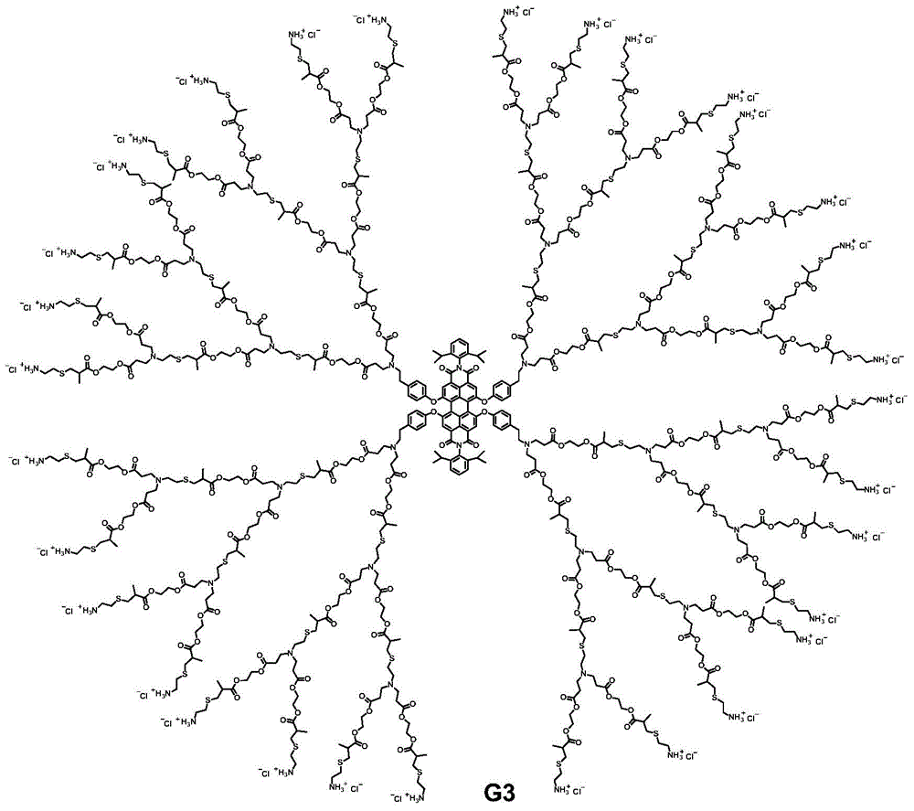 Application of fluorescence arborization nanometer macromolecule in preparing drug carrier