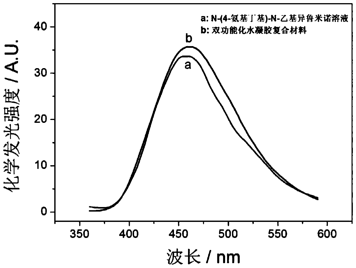 Bifunctional hydrogel polymer composite material, its preparation method and use