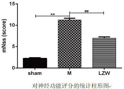 Traditional Chinese medicine composition for central nervous injury complicated with secondary pulmonary infection and application of traditional Chinese medicine composition