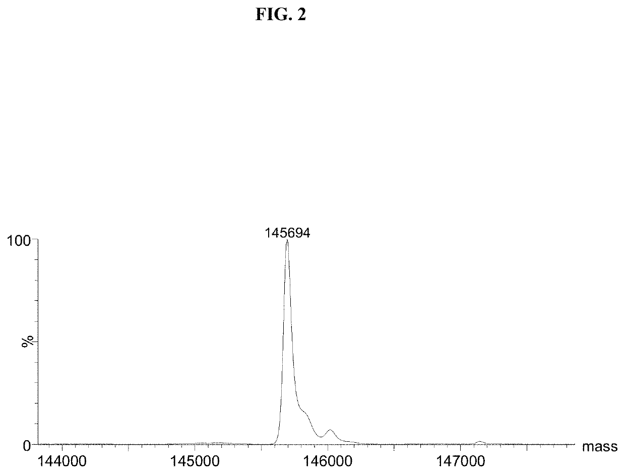 Compositions and methods for antibody production