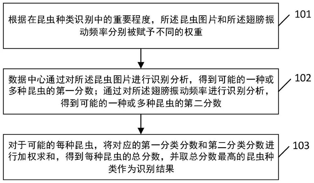 A multi-feature-based pest identification and early warning method and device