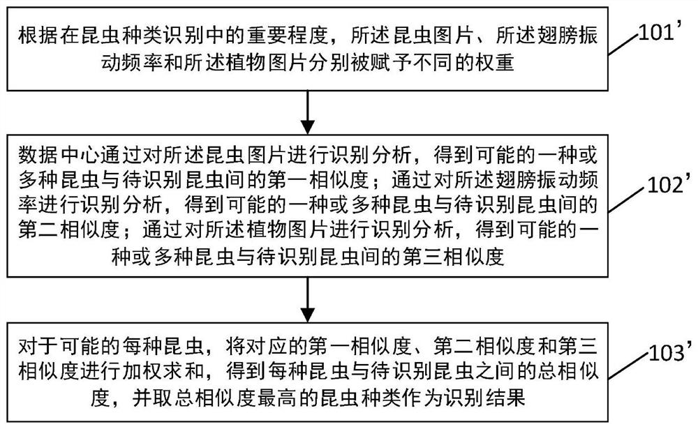 A multi-feature-based pest identification and early warning method and device