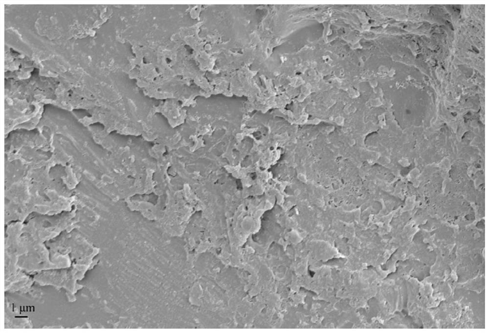 Electrochemical surface treatment method for selective laser melting AlSi10Mg alloy heat treatment product