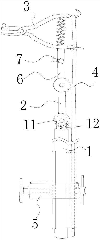 A Live Compensation Tool for Transmission Lines