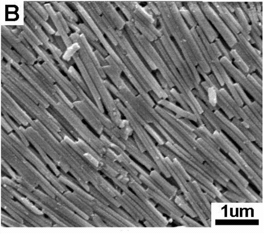 Preparation method of rod-shaped agbr nanomaterial