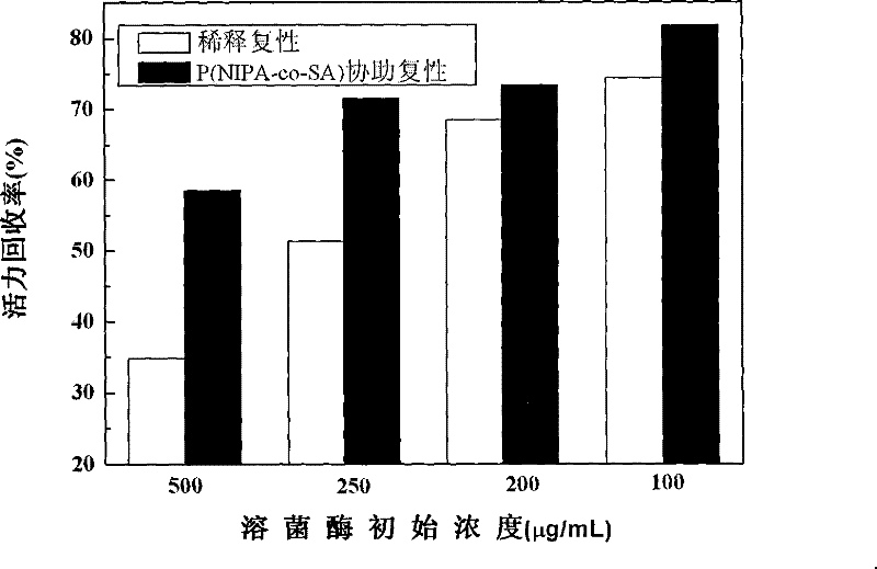 Method for assisting lysozyme renaturation in vitro by granular poly(N-isopropylacrylicamide-sodium acrylate) copolymer hydrogel