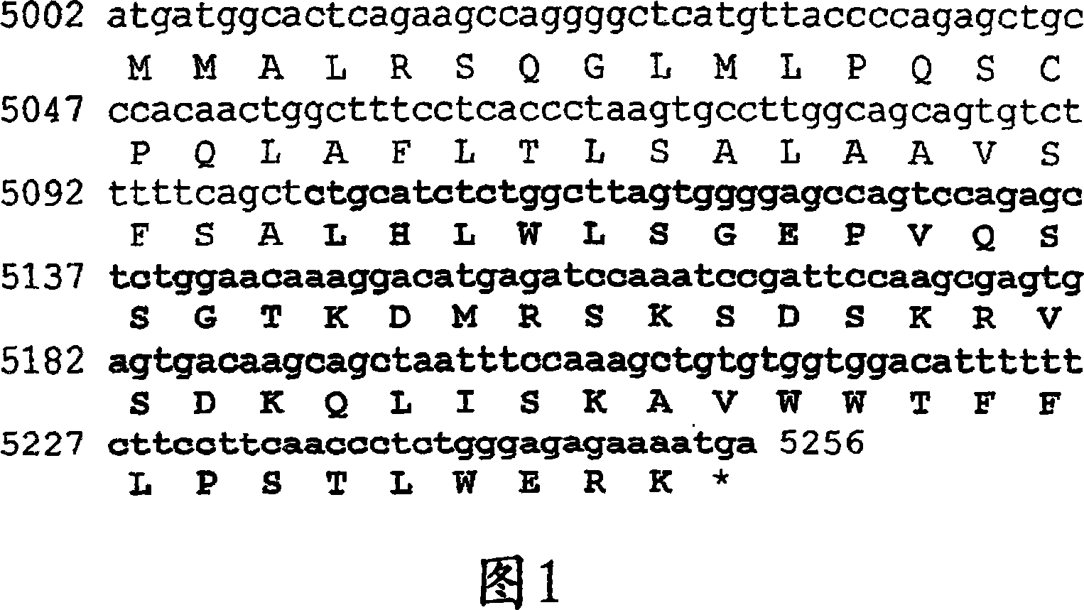 A thymus-specific protein