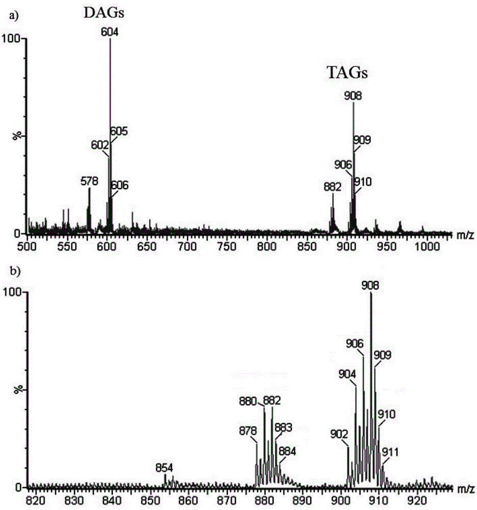 Method for distinguishing edible oil