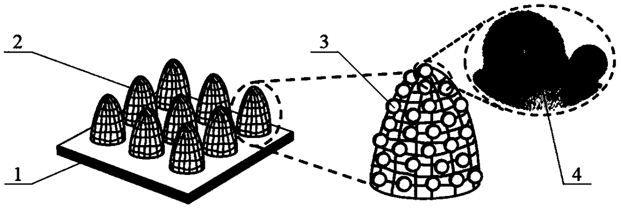 Stainless steel base water electrolysis catalytic electrode and manufacturing method thereof