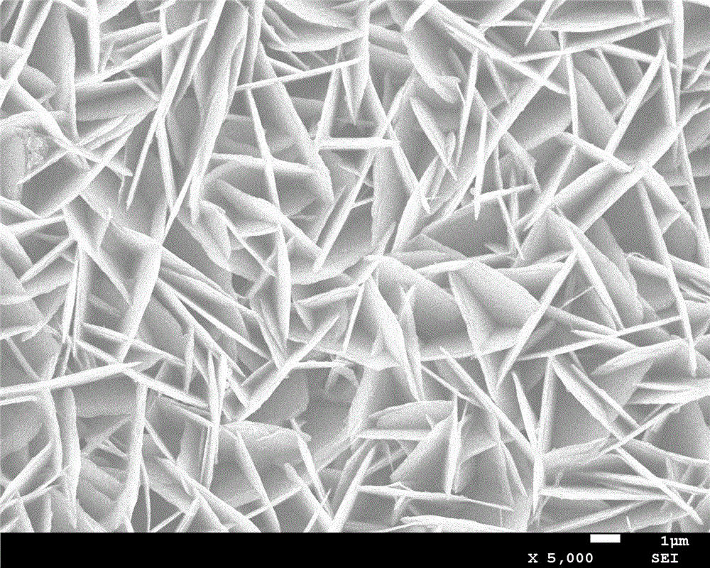 Cobalt-nickel metal sulfide, preparation method and application thereof