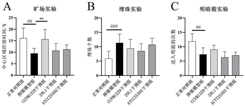 Lactobacillus paracasei CCFM1229 for relieving depressive mood and application thereof