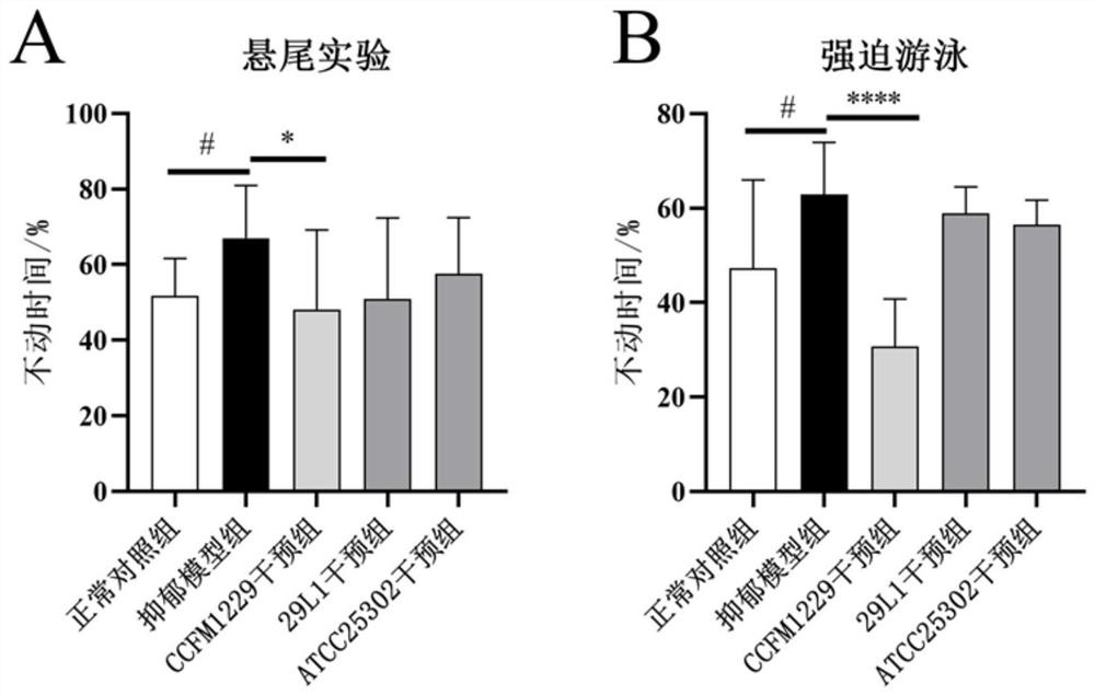 Lactobacillus paracasei CCFM1229 for relieving depressive mood and application thereof