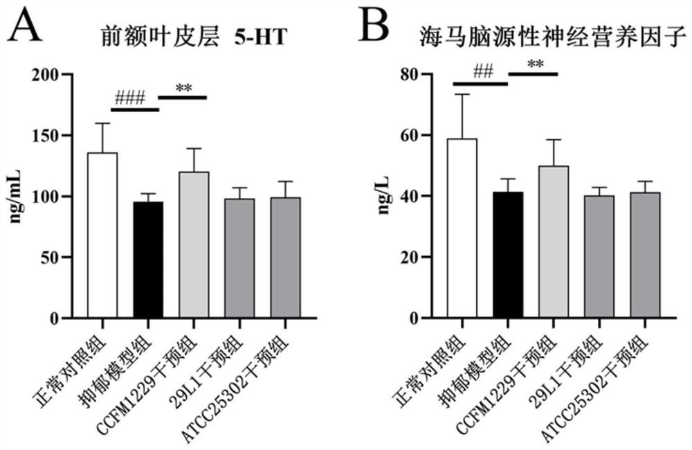 Lactobacillus paracasei CCFM1229 for relieving depressive mood and application thereof