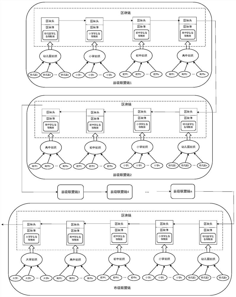 Student growth traceability system based on alliance chain