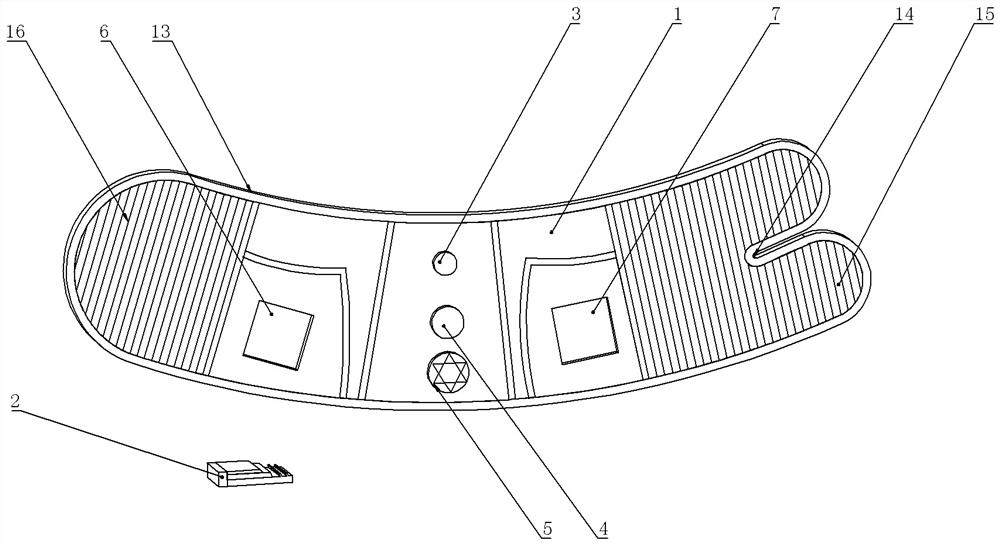 Portable follicle monitor