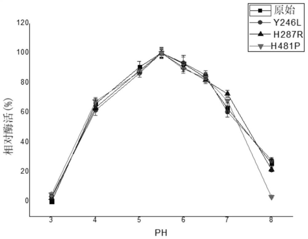 Sucrose isomerase mutant with high activity and high conversion rate and application thereof