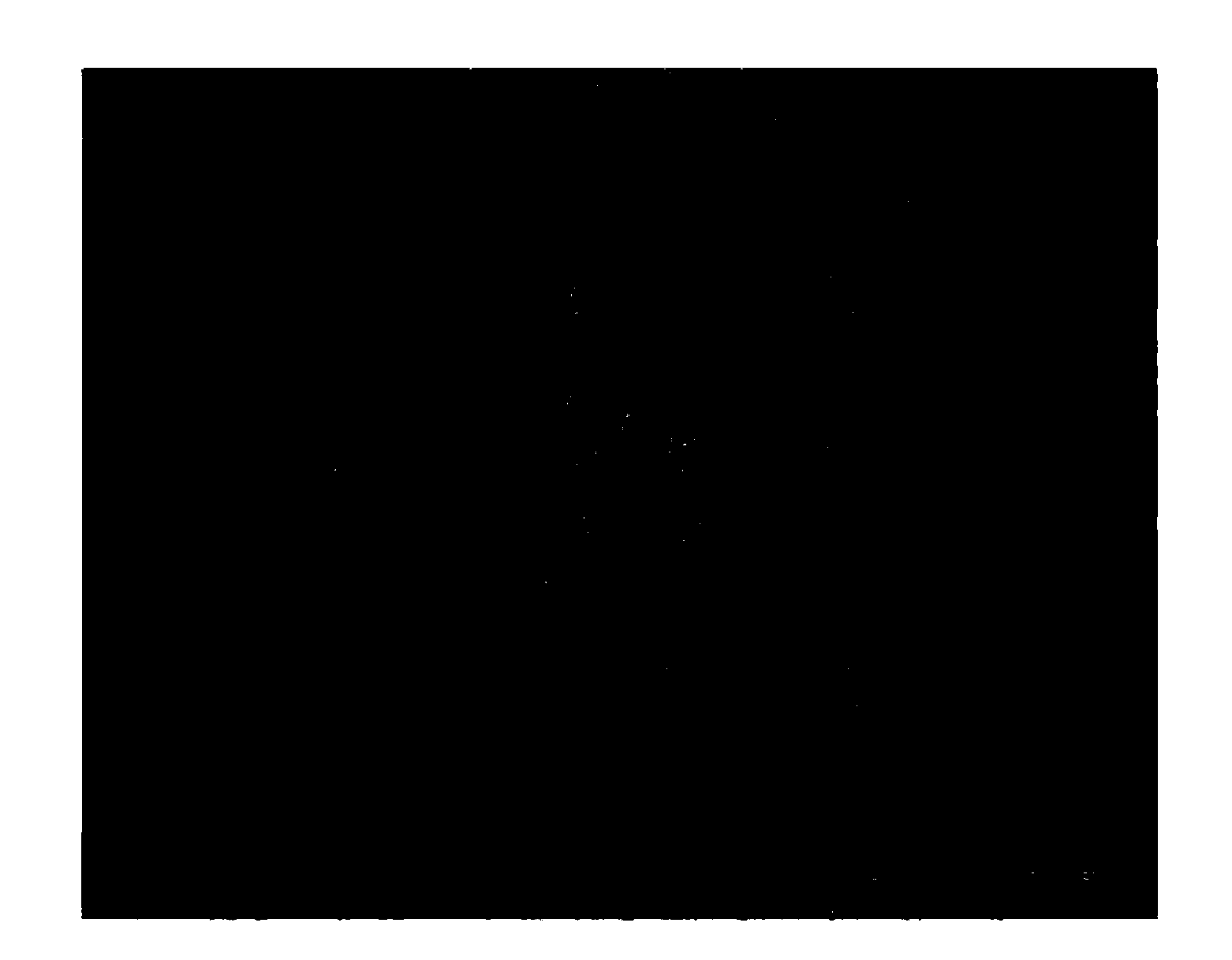 Decellularization method for preparing extracellular matrix (ECM) support material