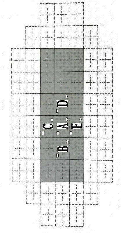 Anti-interference matrix information encoding and decoding method for merchandise outer packaging