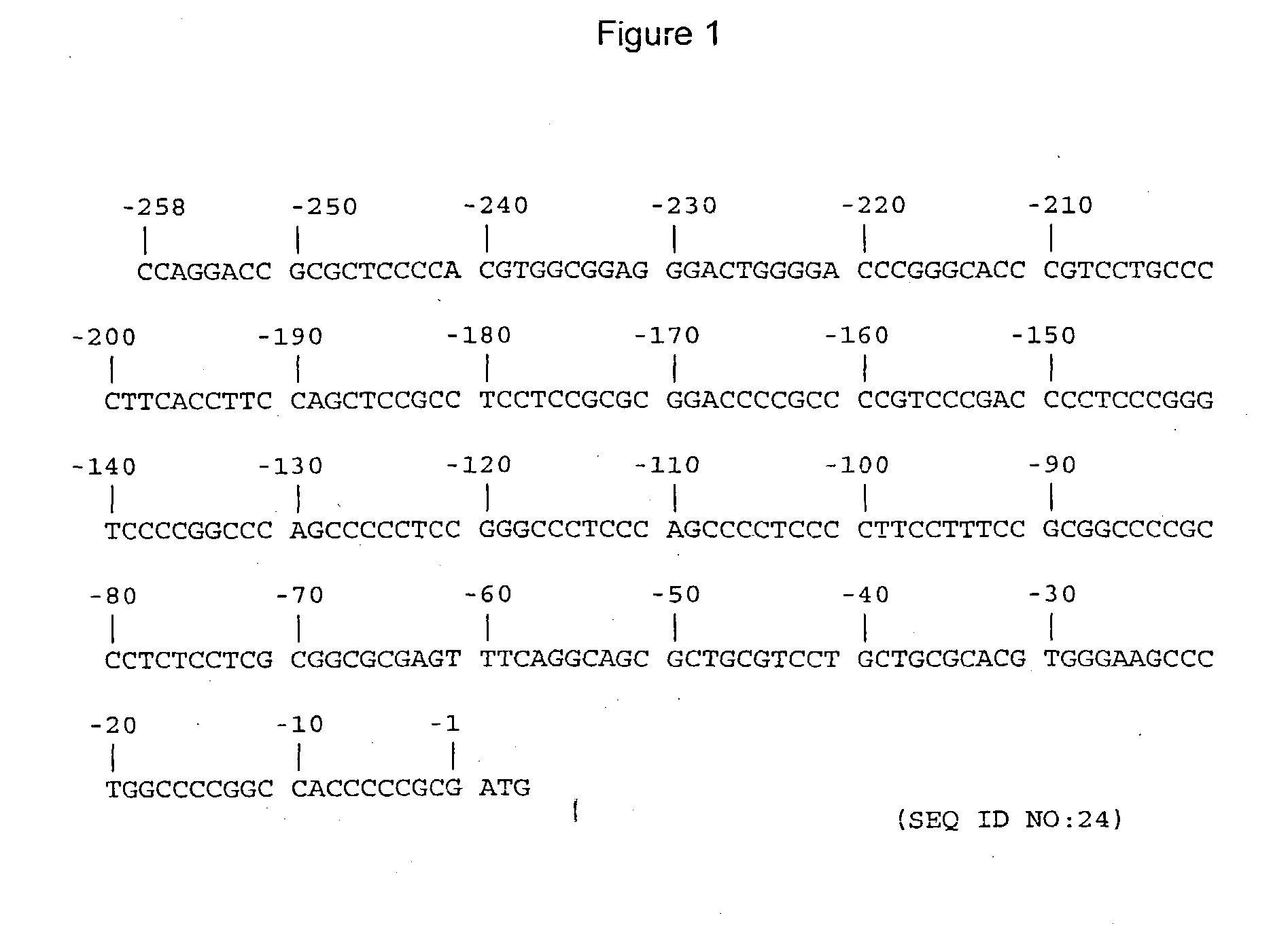 Methods and compositions for modulating telomerase reverse transcriptase (TERT) expression