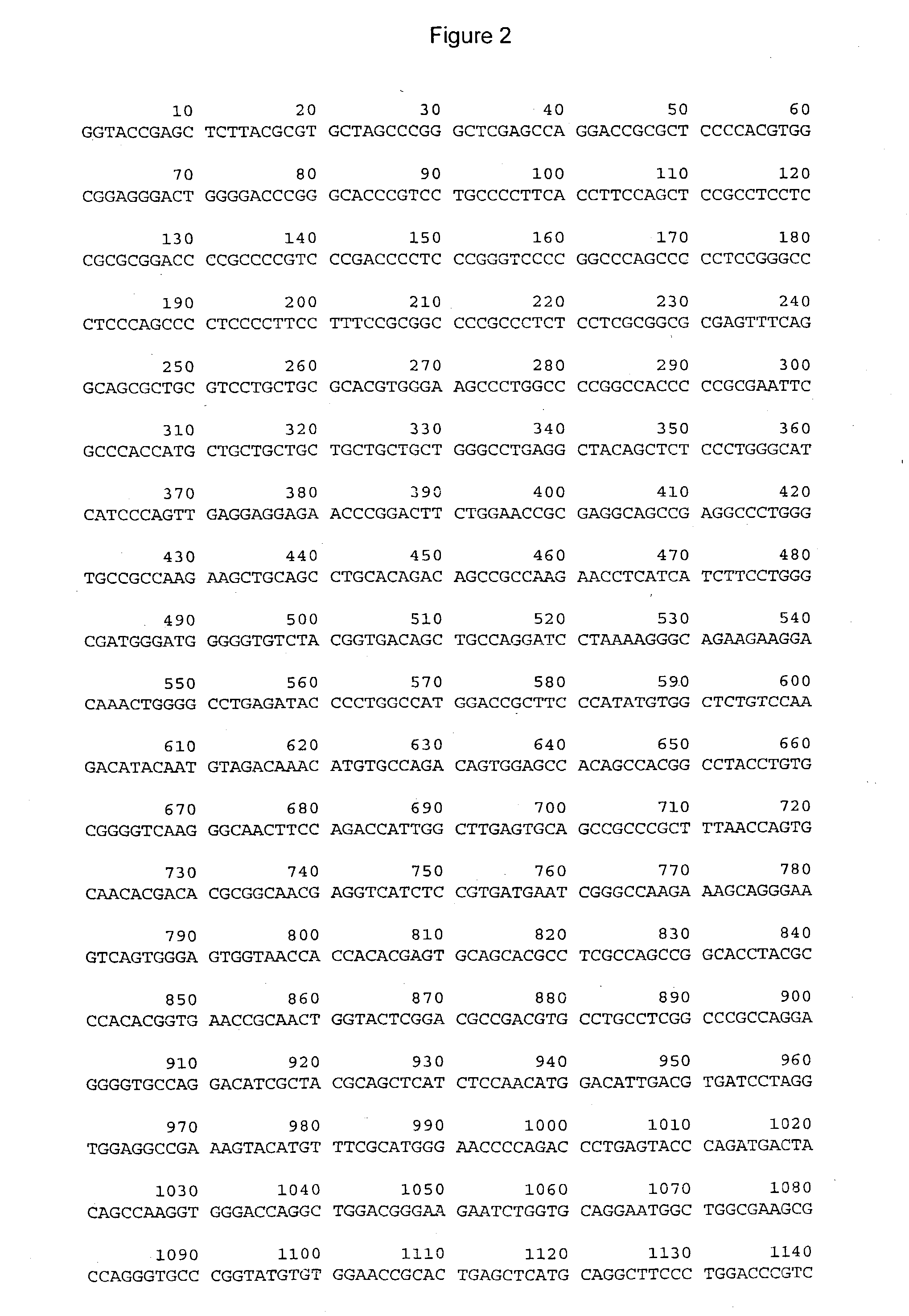 Methods and compositions for modulating telomerase reverse transcriptase (TERT) expression