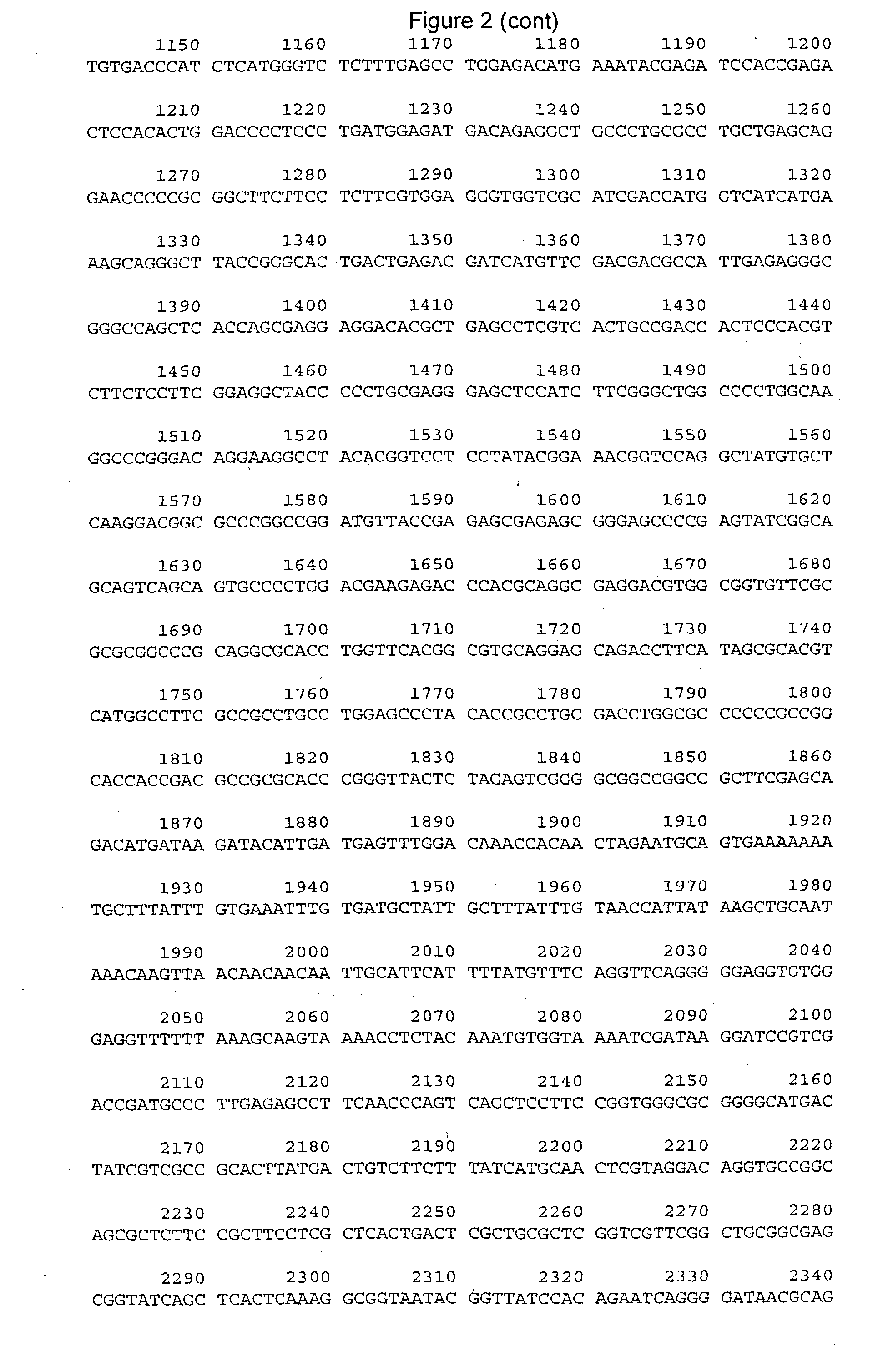 Methods and compositions for modulating telomerase reverse transcriptase (TERT) expression