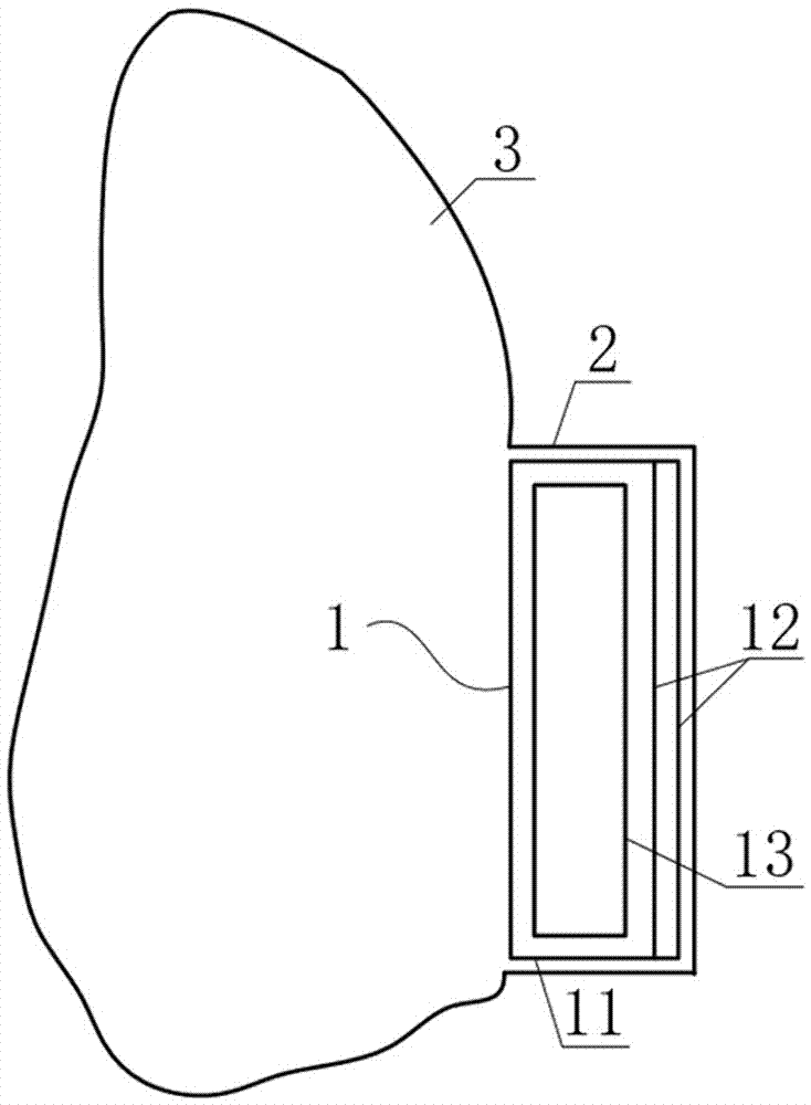 Filter mask for harmful particulate pollutants