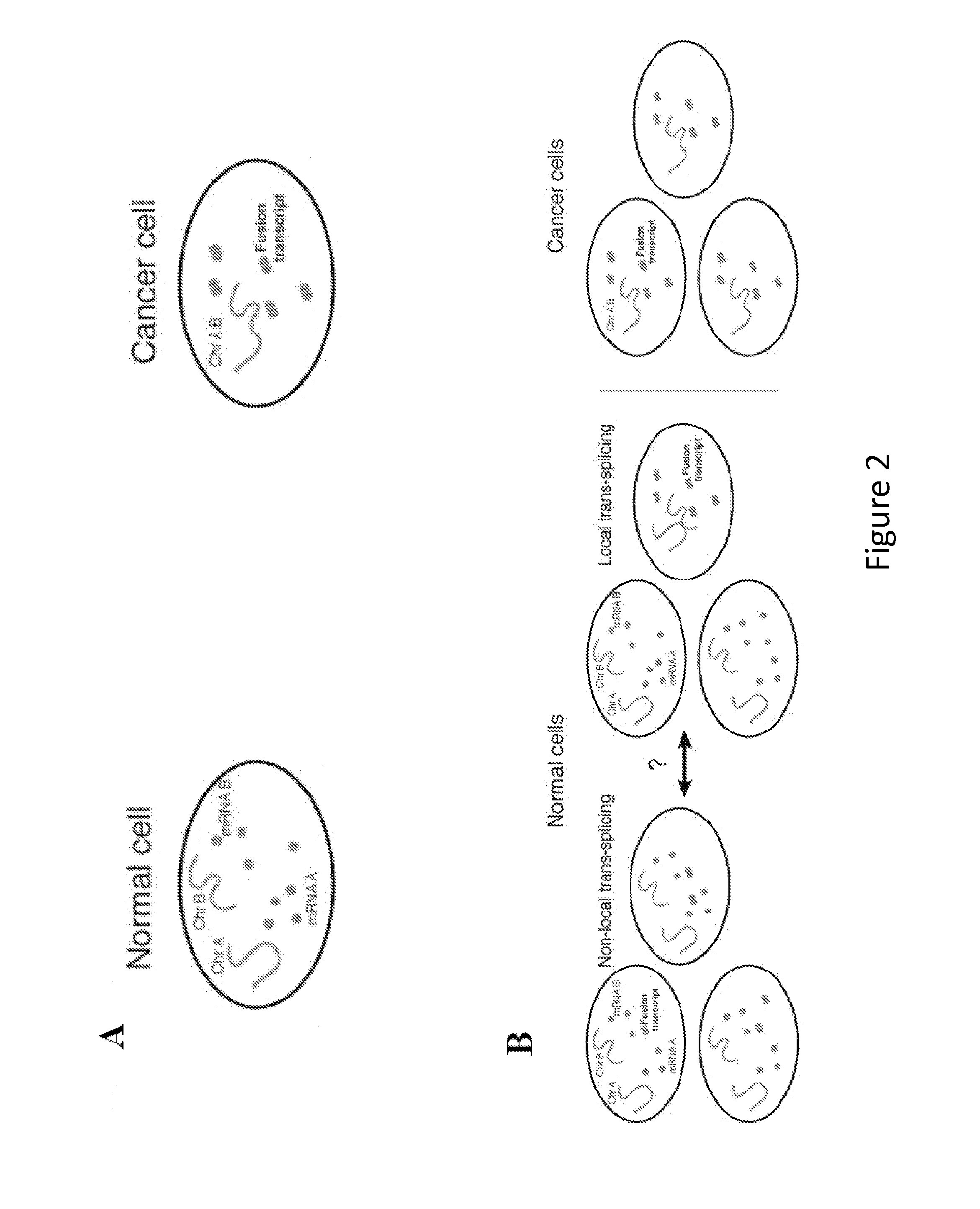 Method for Detecting Chromosome Structure and Gene Expression Simultaneously in Single Cells