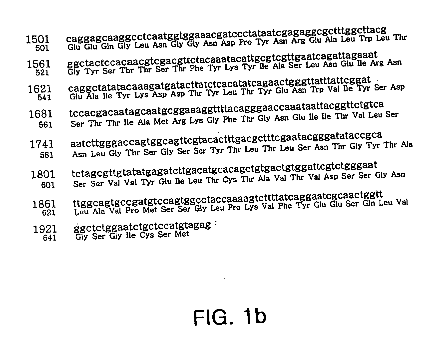 Protein with activity of hydrolyzing amylopectin, starch, glycogen and amylose, gene encoding the same, cell expressing the same, and production method thereof