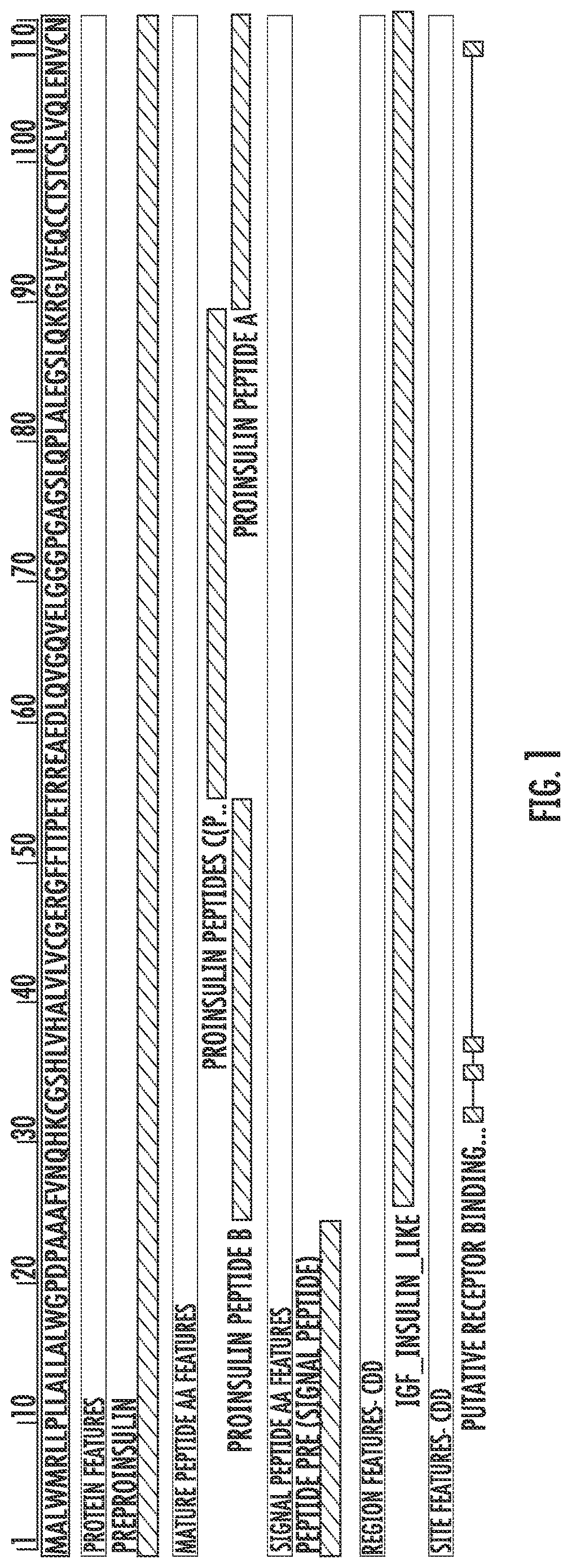 Immunomodulatory therapy for type 1 diabetes mellitus autoimmunity