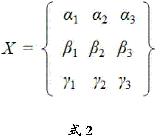 Model for testing black, white and yellow yeast ratio in yeast and method thereof