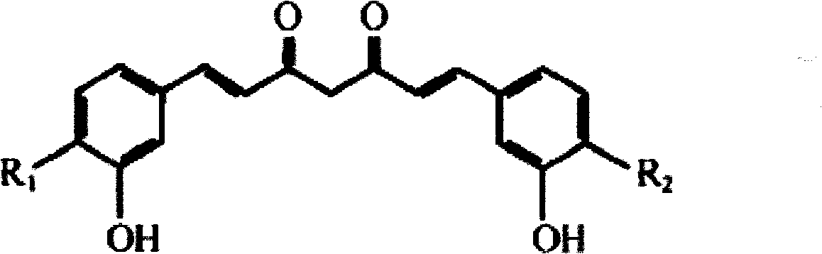 Purification technology of curcumin compound