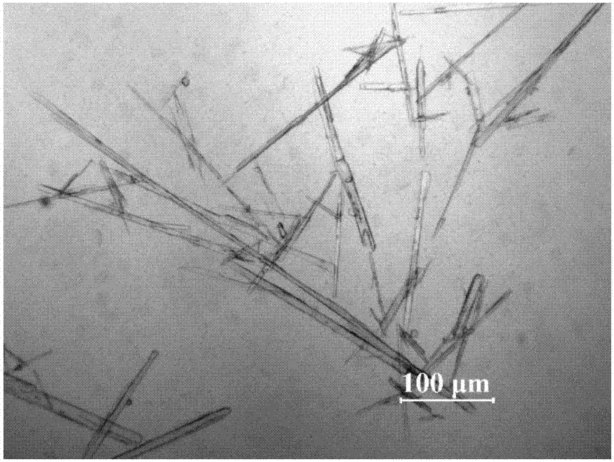 Crystal of aldactone and preparation method thereof